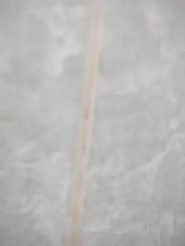 maicol6699 online show from 04.19.26