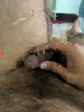 warm milk69 online show from 04.19.26