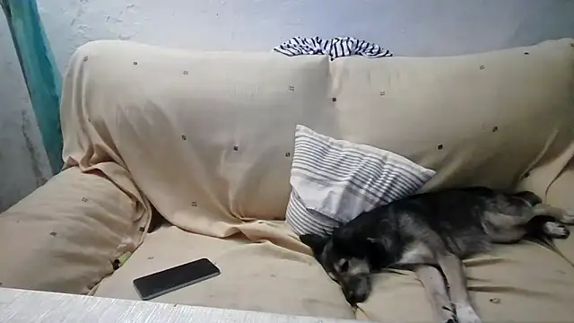 Snapshot of jazmin39 chatting on 06.29.26 jazmin39 online show from 06.29.26