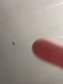 didine179 online show from 04.27.26