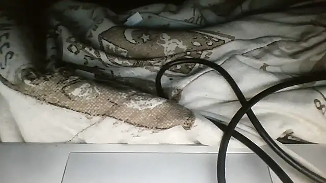 darkdadaaa online show from 04.27.26