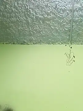 Micaejj online show from 04.21.26