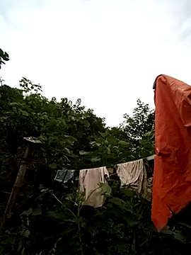 lanngoc2 online show from 08.08.26