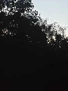 DanieleAleksandraDeRossii online show from 06.22.26