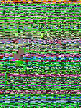 ck1998 02 online show from 06.28.26