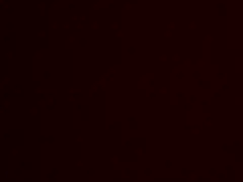 Leeszim26 online show from 06.06.26