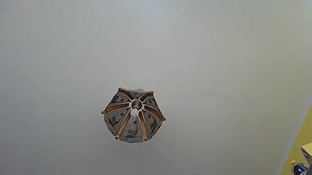 Butterfly PL online show from 07.09.26