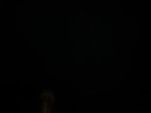 blue-summer online show from 07.21.26