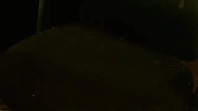 MagicCockMan online show from 06.20.26