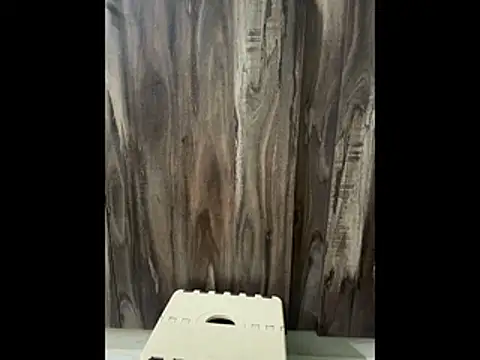 Snapshot of SatBull007 chatting on 11.23.25 SatBull007 online show from 11.23.25