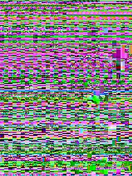 Jelmer57 online show from 07.24.26