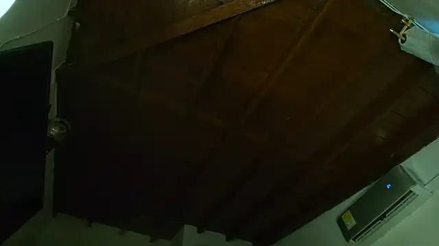 Snapshot of IvyValentine chatting on 03.14.25 IvyValentine online show from 03.14.25