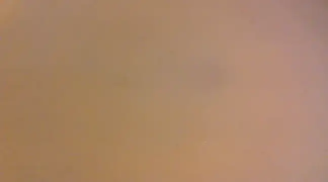 lilpervt online show from 12.21.24