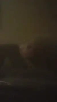 Biknight online show from 12.09.24