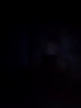 Biknight online show from 12.12.24