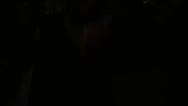 Snapshot of blkwanker chatting on 01.23.25 blkwanker online show from 01.23.25