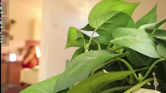 Kishaxxx online show from 03.06.25