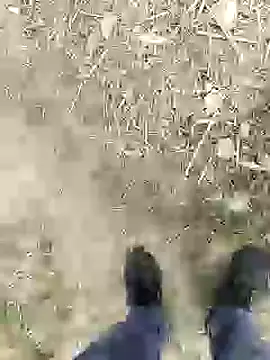 ThethunderPo online show from 01.04.25