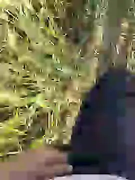 ThethunderPo online show from 03.18.25