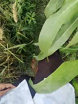 ThethunderPo online show from 03.21.25