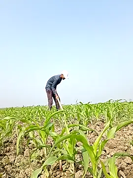 ThethunderPo online show from 02.06.26