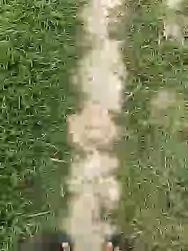 ThethunderPo online show from 04.01.26