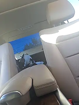 UncutHammer69 online show from 09.28.25