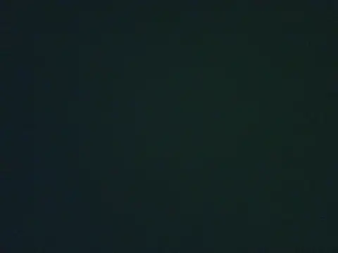 lonelycock33 online show from 11.04.25