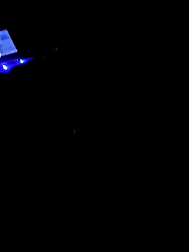 DespisedStallion online show from 12.03.24