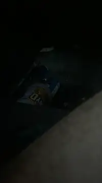 Snapshot of mikeylong chatting on 12.31.24 mikeylong online show from 12.31.24