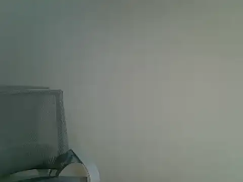 Snapshot of DitaVira chatting on 12.11.24 DitaVira online show from 12.11.24