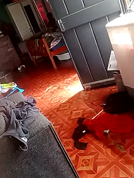 Snapshot of 2soyte chatting on 09.26.25 2soyte online show from 09.26.25