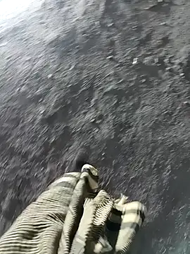 Snapshot of Bengali_BULL1 chatting on 11.17.25 Bengali BULL1 online show from 11.17.25