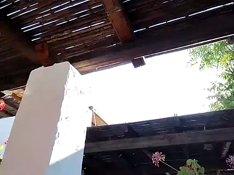 Perv10 online show from 06.22.26