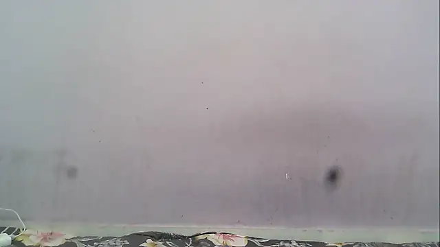 HotyRose online show from 01.17.26