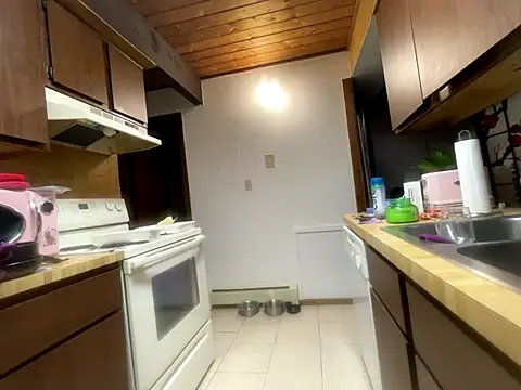 Snapshot of odbodu chatting on 11.14.25 odbodu online show from 11.14.25