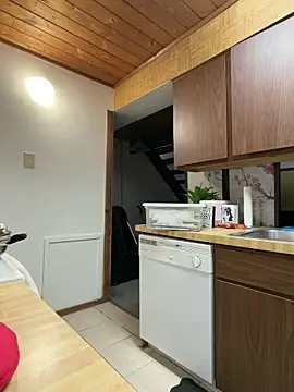 Snapshot of odbodu chatting on 11.17.25 odbodu online show from 11.17.25