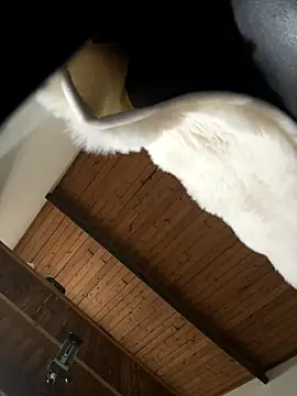 Snapshot of odbodu chatting on 11.22.25 odbodu online show from 11.22.25