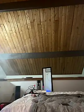 Snapshot of odbodu chatting on 11.23.25 odbodu online show from 11.23.25