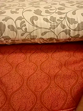 Snapshot of Bull8 chatting on 03.02.25 Bull8 online show from 03.02.25