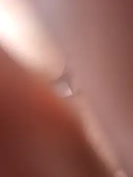 Bull8 online show from 04.19.26