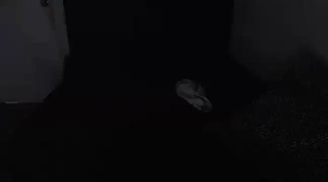 Chanelsexyy online show from 03.16.25