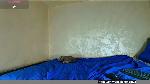 angeliquevany online show from 12.02.25