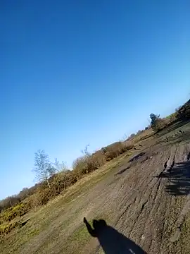 Muzz 2020 online show from 04.10.26