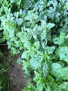 Snapshot of curcuro chatting on 02.27.26 curcuro online show from 02.27.26