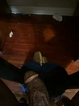 Snapshot of southerncomfort23 chatting on 12.06.24 southerncomfort23 online show from 12.06.24