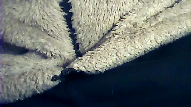 kalinixta online show from 01.06.26