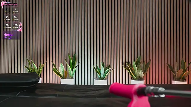 Snapshot of NiceHotJob chatting on 02.03.25 NiceHotJob online show from 02.03.25