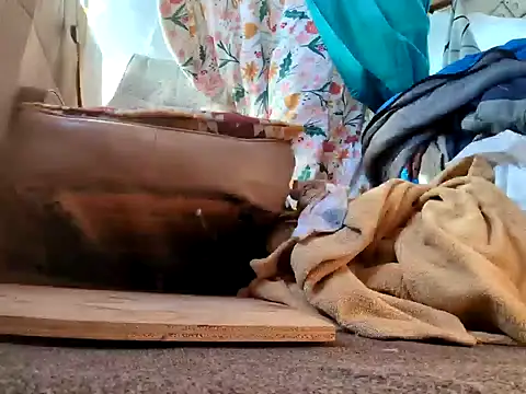 klamper online show from 01.28.25