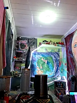 Toycockhot online show from 02.21.25